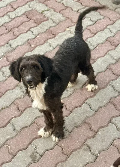 Foto von Sherry-Stann BR
