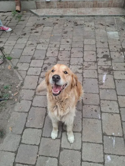Foto 4 von Lady BE