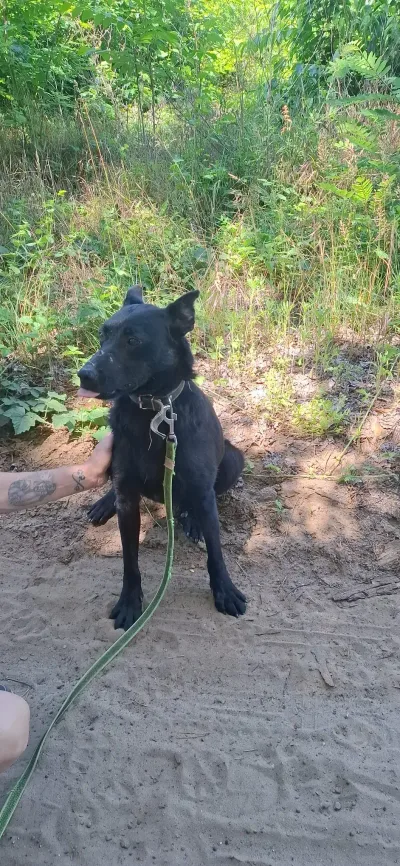 Foto von Apollo BE