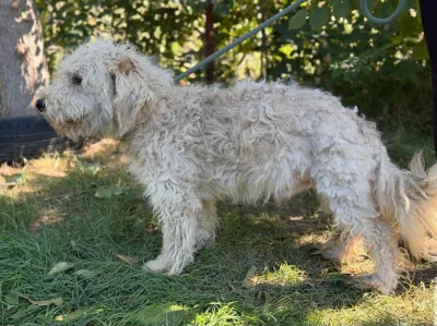Foto 2 von Axel KK