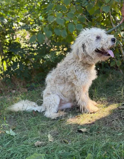 Foto 5 von Axel KK