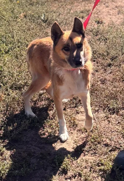 Foto von Leo BR