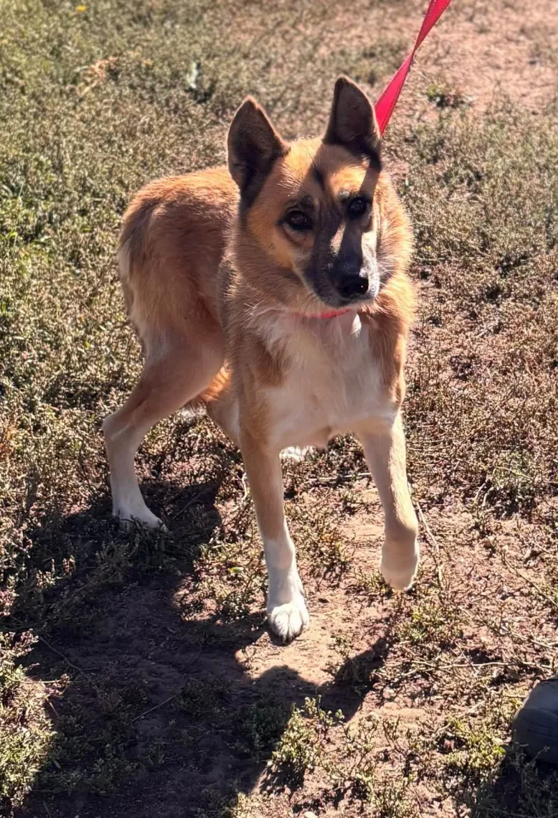 Foto von Leo BR
