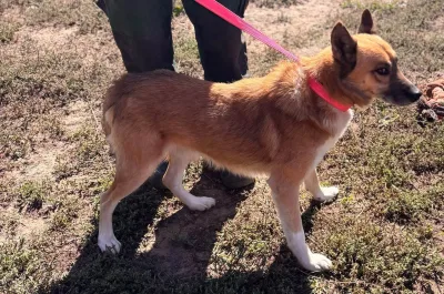 Foto 5 von Leo BR